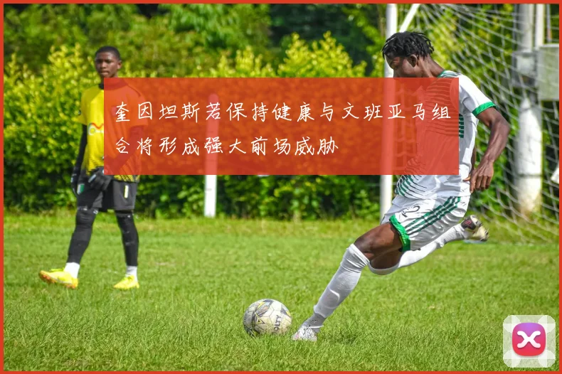奎因坦斯若保持健康与文班亚马组合将形成强大前场威胁